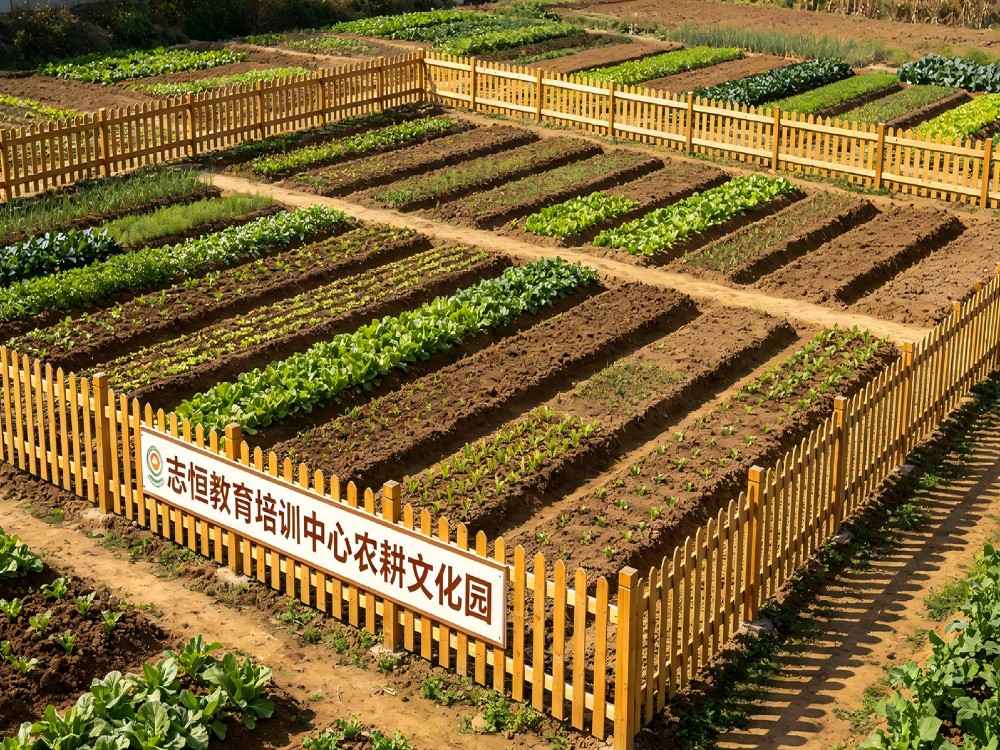 荆州比较好的叛逆孩子全封闭改变学校联系电话